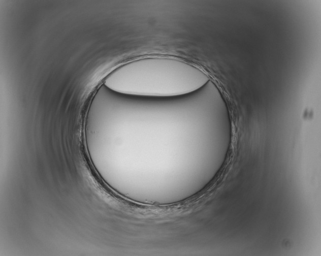 X0000113950005200909251014