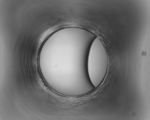 X0000113950006200909251014