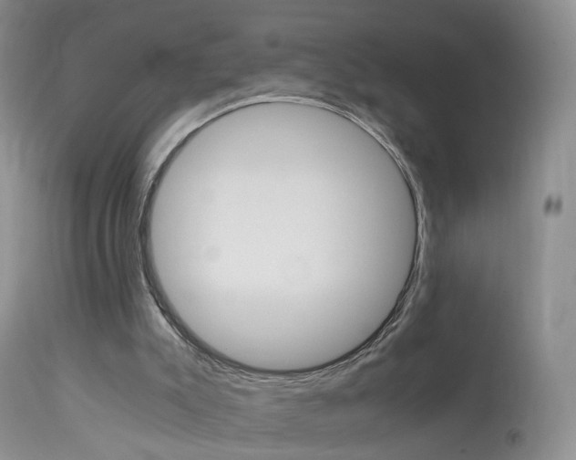 X0000113950007200909251014