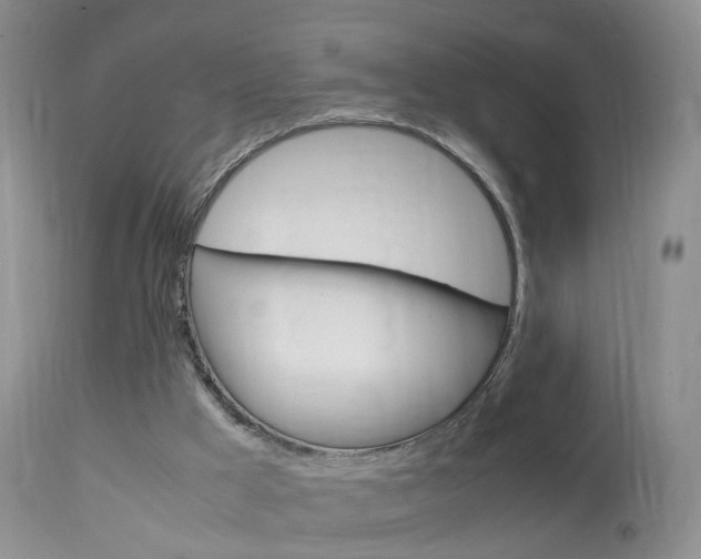 X0000113950009200909251014