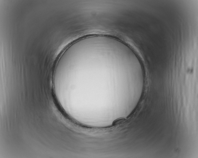 X0000113950011200909251014