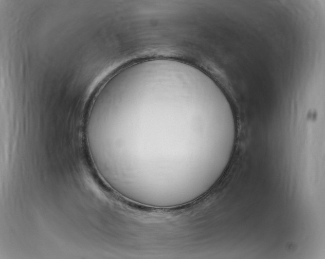 X0000113950012200909251014