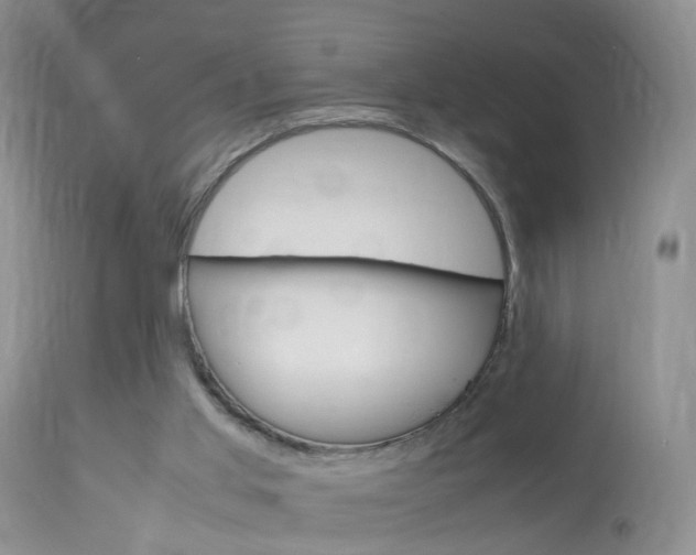 X0000113950013200909251014