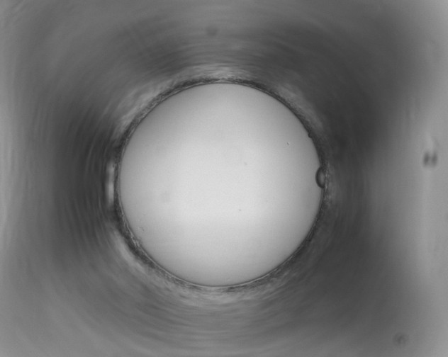 X0000113950014200909251013