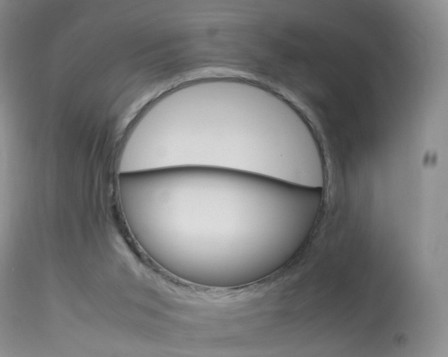 X0000113950015200909251013