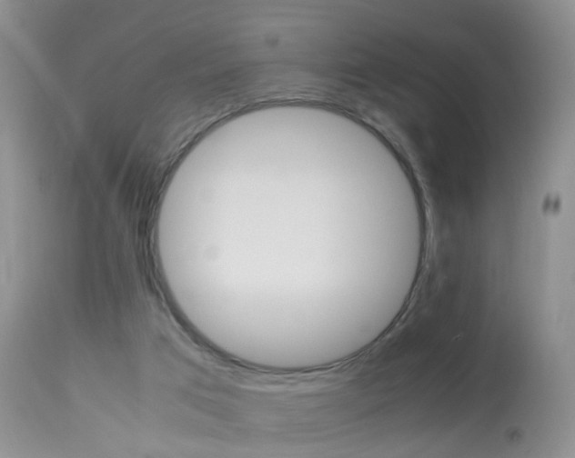 X0000113950017200909251013
