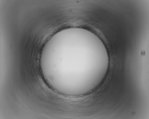 X0000113950018200909251013