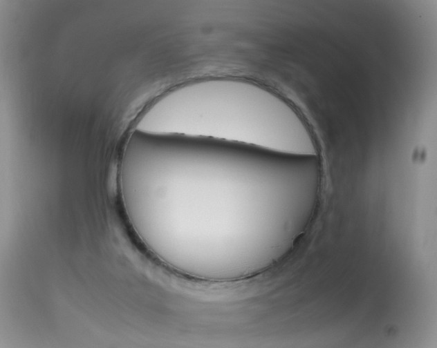X0000113950019200909251013