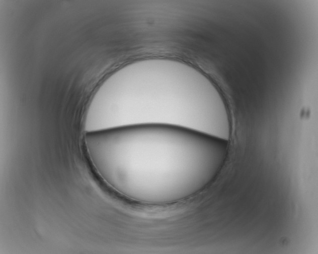X0000113950021200909251013