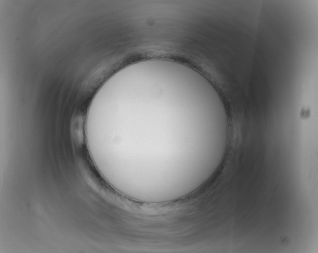 X0000113950022200909251013