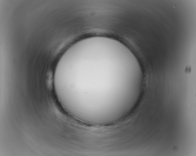 X0000113950024200909251013
