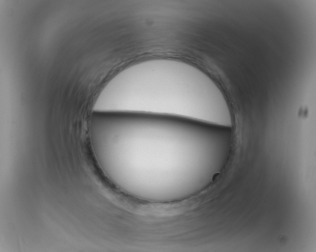 X0000113950025200909251013