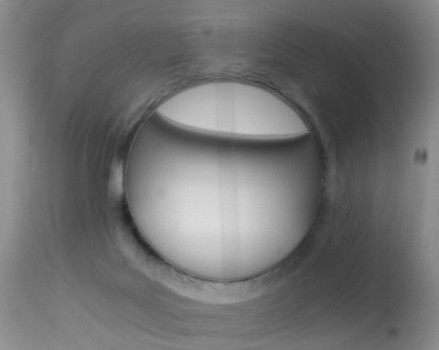 X0000113950027200909251013