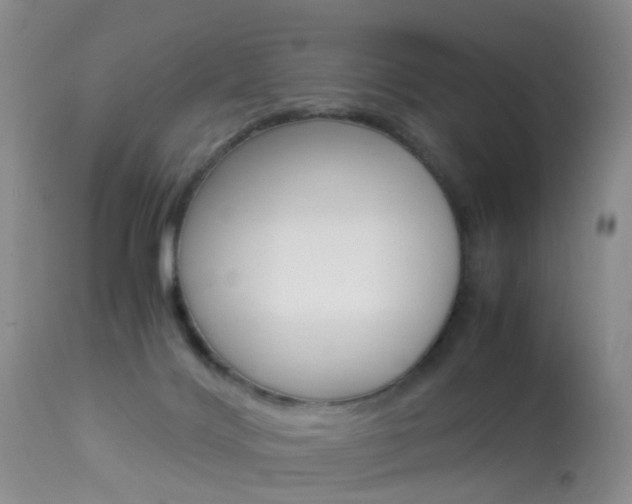 X0000113950028200909251013