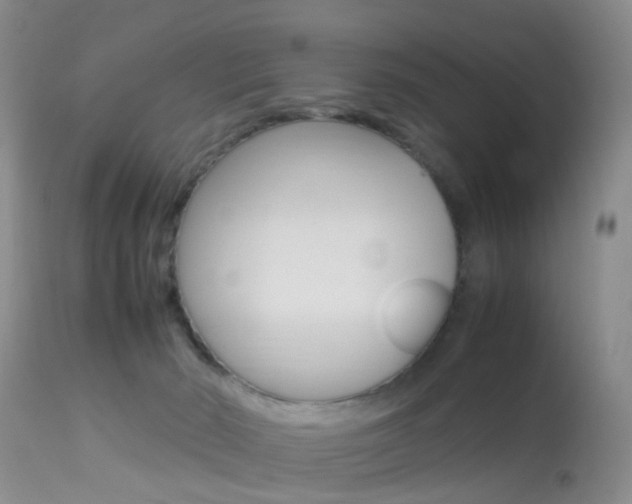 X0000113950030200909251013