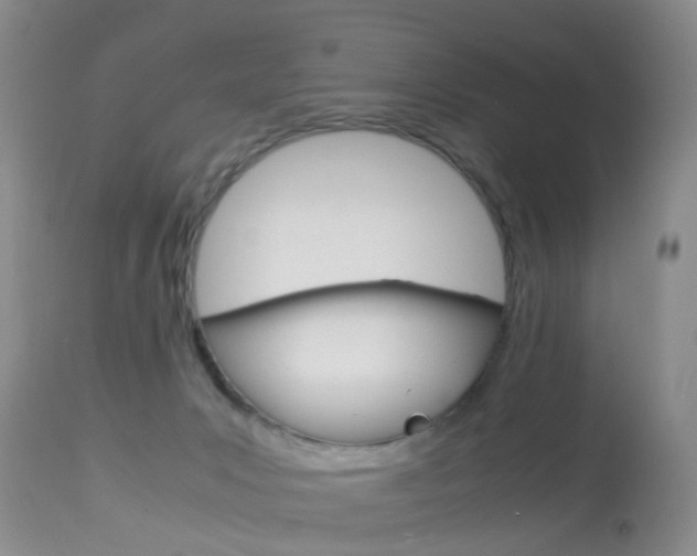 X0000113950031200909251013