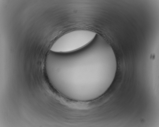 X0000113950032200909251013