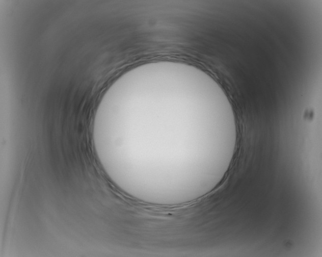 X0000113950033200909251013