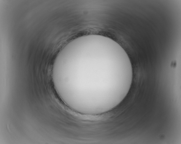X0000113950034200909251013