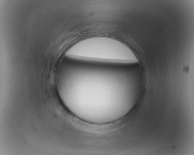 X0000113950035200909251013