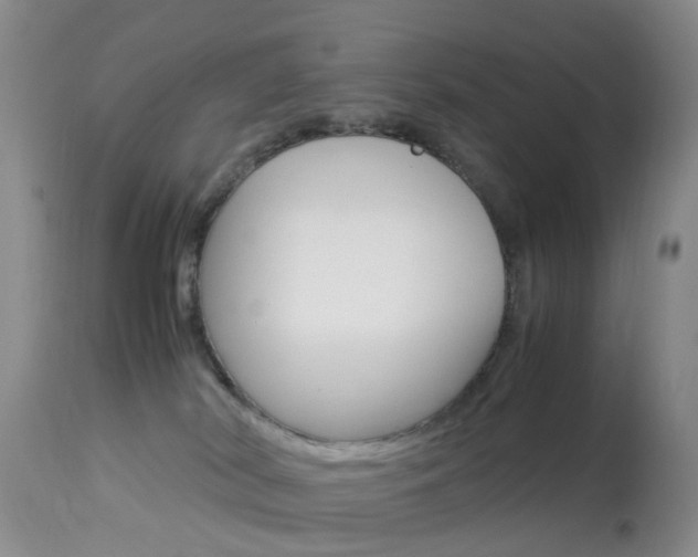 X0000113950038200909251013