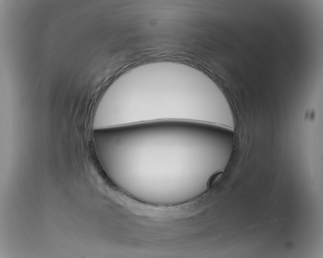 X0000113950039200909251013