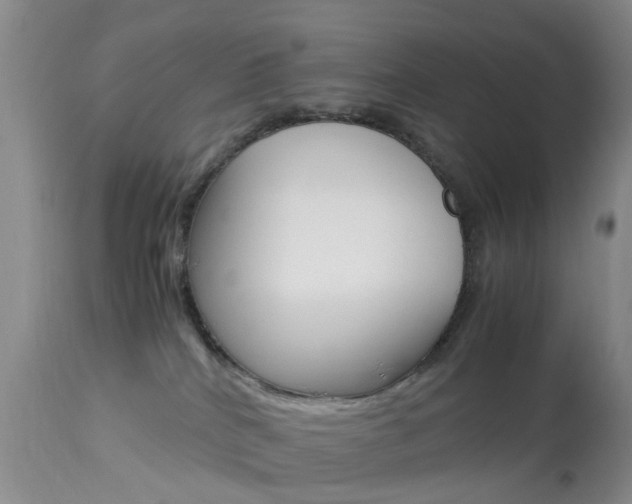 X0000113950040200909251013