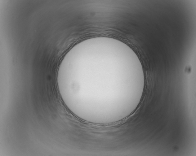 X0000113950041200909251013