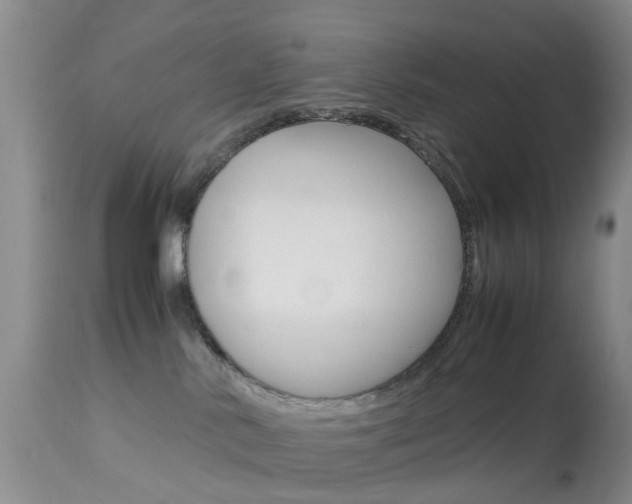 X0000113950042200909251013