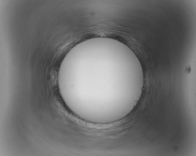 X0000113950043200909251013