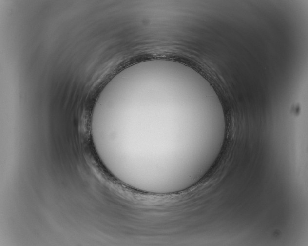 X0000113950044200909251013