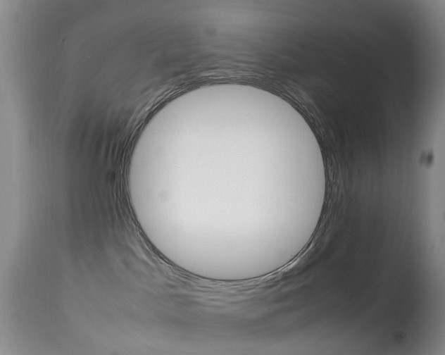 X0000113950045200909251013