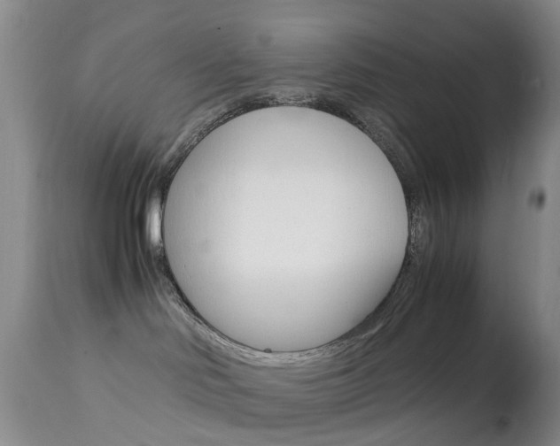 X0000113950046200909251013