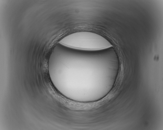 X0000113950048200909251013