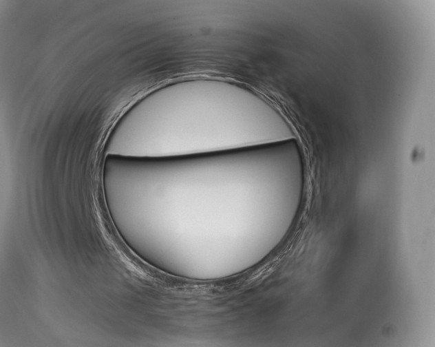 X0000113950049200909251012