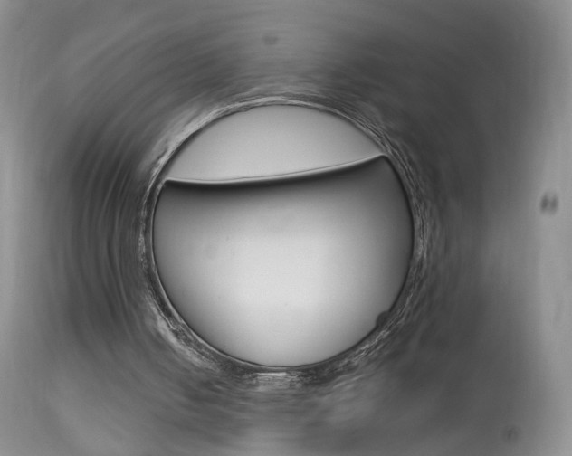 X0000113950050200909251012