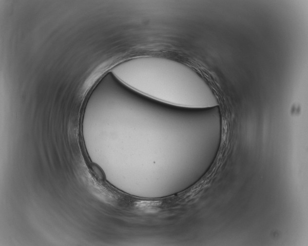 X0000113950051200909251012