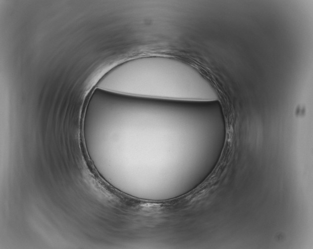 X0000113950052200909251012
