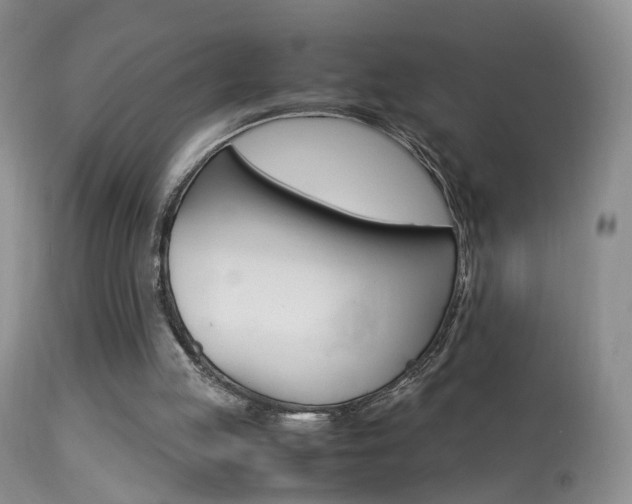 X0000113950053200909251012