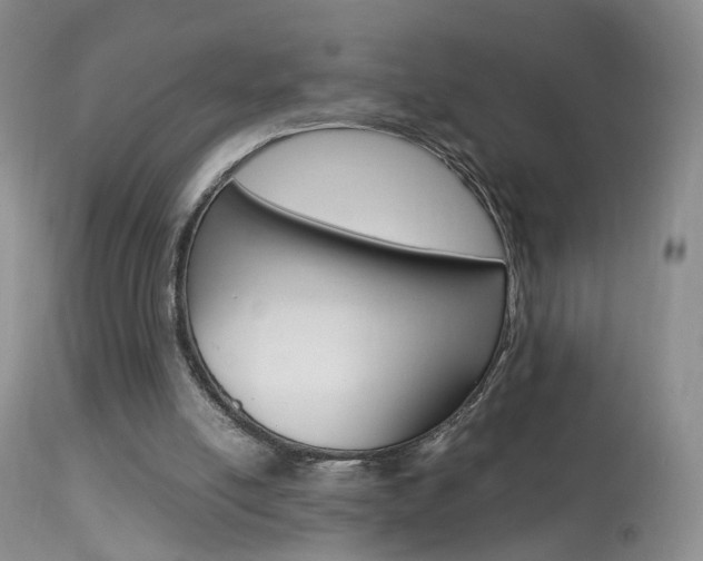 X0000113950054200909251012