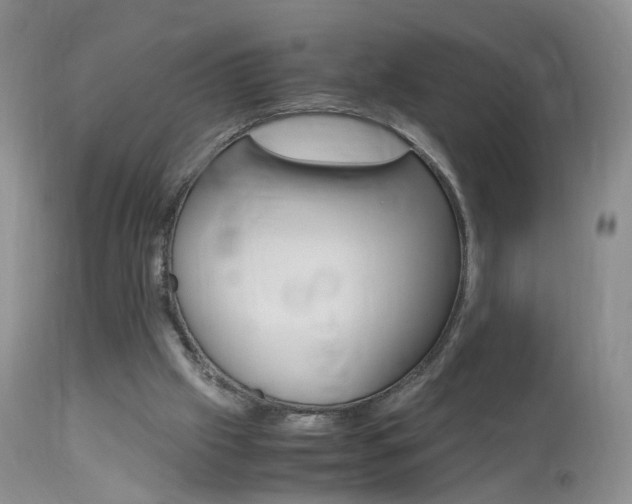 X0000113950057200909251012