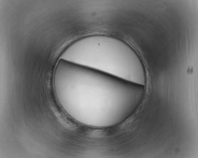X0000113950058200909251012