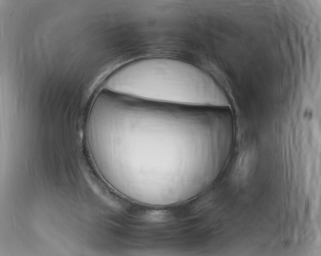 X0000113950059200909251013