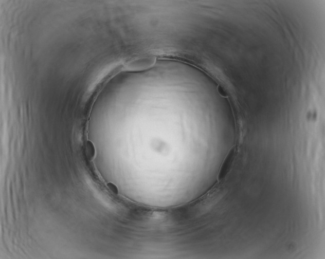 X0000113950060200909251013