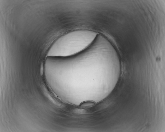 X0000113950061200909251013