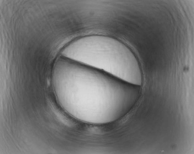 X0000113950062200909251013