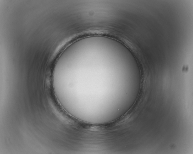 X0000113950064200909251013