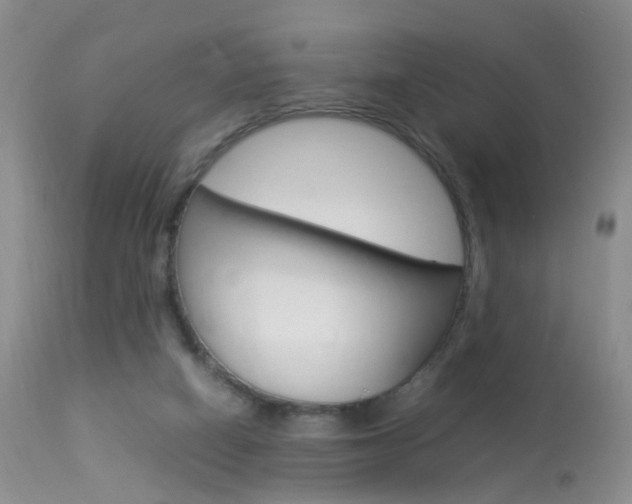 X0000113950066200909251013