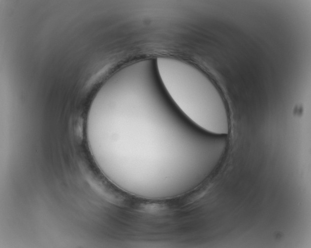X0000113950067200909251013