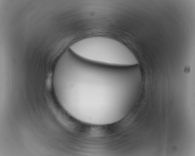 X0000113950070200909251013